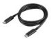 Lenovo USB-C Cable 1m | Lenovo | USB-C
