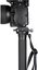 Leofoto Monopod MP-364C