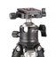 Leofoto Tripod ball head EB-36 + NP-50S