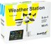Метеостанция Levenhuk Wezzer PLUS LP140