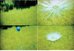 Lomography ActionSampler Fixed Focus 4-Lens 35mm Camera Kit