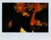 Lomography Lomo Instant Wide Combo - Monte Carlo Edition