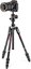 Manfrotto Befree Advanced Carbon Fibre MKBFRTC4-BH