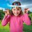 Brainstorm Headlamp Paw Patrol