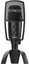 Mic-V2