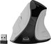Natec Mouse | Euphonie Pro | Wireless | 2.4 GHz, Bluetooth | White