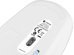 Natec Mouse, Harrier 2, Wired, 1600 DPI, Optical, White/Blue