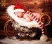Newborn Fur Nest Grey Lamb SGLF15