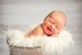 Newborn Fur Nest Pink Bubble Gum SBGF