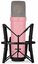 NT1 Signature Series Pink