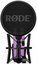NT1 Signature Series Purple