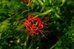 Carl Zeiss 50mm F/1.4 Planar T*
