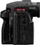 Panasonic Lumix S1RII body + 24-105 F4