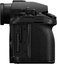 Panasonic Lumix S1RII body + 24-105 F4