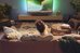 Philips 2.1 soundbar with TAB5309/10 wireless subwoofer