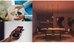 Philips Hue E WCA 806 A60 E27 2kit EU | E27 | 8 W | 16 million colours, White and colour light
