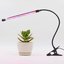 Platinet grow lamp LED Clip 3W (45834)