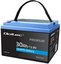 LiFePO4 12.08V 30Ah 384Wh