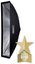 Caruba Quick Assembly Matte Zilver Strip Softbox 30x140 cm