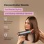 Ray Battler RB 1011 Hair Dryer