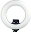 Caruba Round Vlogger 12 inch LED set met tas   Black