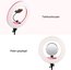 Caruba Round Vlogger 18 inch LED set Economy met tas   Pink
