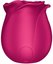 Satisfyer air impulse vibrator Pro 2 Classic Blossom