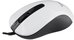 Sbox Optical Mouse M-901 white