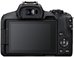 CANON EOS R50 + RFS 18-150MM + DOVANA Amaran Ace 25c Silver