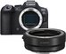 Canon EOS R6 Mark II body + adapter EF-EOS-R