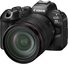 Canon EOS R6 Mark III + 24-105MM f4L USM