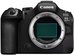 Canon EOS R6 Mark III + 24-105MM f4L USM