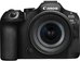 Canon EOS R6 Mark III + RF 24-105mm F4-7.1 IS STM