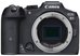 Canon EOS R7 + Canon RF 75-300mm