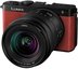 Panasonic Lumix DC-S9 + 20-60mm Crimson Red