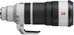 Sony FE 100-400mm f/4.5 GM OSS