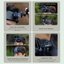 SmallRig 5720 Quick Release Chest Strap Mount for Action Cameras