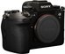 Sony Alpha A1 II body
