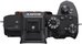 Sony a7R III A body
