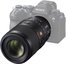 Sony FE 100mm F2.8 Macro GM OSS