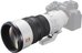 Sony FE 400mm F4.5 GM OSS
