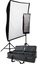 Westcott Spiderlite TD6 Perfect Portrait  2 Light Deluxe
