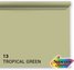 Superior Background Paper 13 Tropical Green 1.35 x 11m