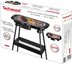 Techwood Stand Barbecue TBQ-836P