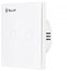 Tellur WiFi switch, 2 ports, 1800W