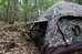 Tragopan Photo Hide HOKKI V3 thumbhide