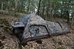 Tragopan Photo Hide HOKKI V3 thumbhide