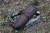Tragopan Photo Hide HOKKI V3 thumbhide