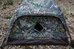 Tragopan Photo Hide HOKKI V3 thumbhide