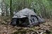 Tragopan Photo Hide HOKKI V3 thumbhide
